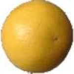 Sample 6 – Fruit
