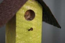 Sample 1 – Birdhouse