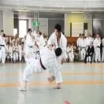 Sample 6 – Judo