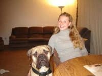 Sample 3 – Bull mastiff