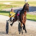 Sample 6 – Harness racing