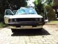 Sample 19 – Carina car