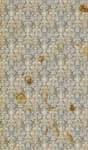 Sample 5 – Blotchy