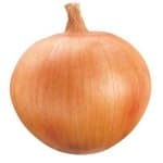 Sample 2 – Onion