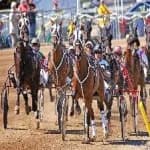 Sample 5 – Harness racing
