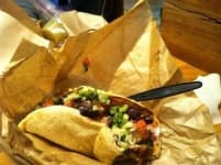Sample 2 – Falafel