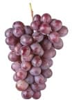 Sample 2 – Grapes