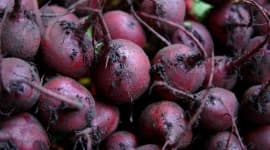 Sample 3 – Beetroot