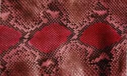 Sample 1 – Scaly