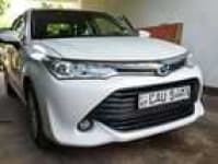 Sample 13 – Axio car