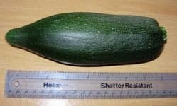 Sample 4 – Zucchini