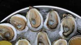 Sample 1 – Oyster