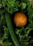 Sample 6 – Acorn squash
