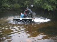Sample 5 – Amphibian