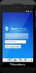 Sample 4 – Blackberry