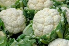 Sample 1 – Cauliflower