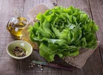 Sample 5 – Lettuce