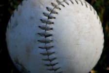 Sample 1 – Baseball