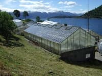 Sample 2 – Greenhouse