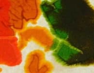 Sample 3 – Stained