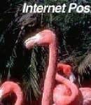 Sample 2 – Flamingo head