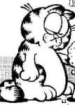 Sample 4 – Garfield