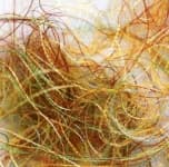 Sample 4 – Fibrous