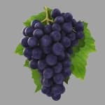 Sample 5 – Grapes