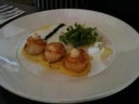 Sample 3 – Scallops