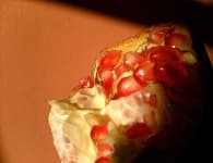 Sample 2 – Pomegranate