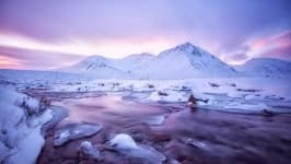 Sample 2 – Tundra