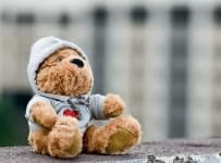 Sample 3 – Teddy