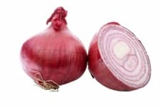Sample 4 – Onion