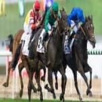 Sample 1 – Horse racing