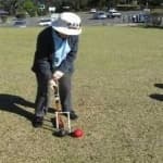 Sample 3 – Croquet