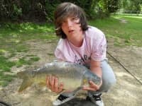 Sample 4 – Tench