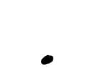 Sample 5 – Decimal point