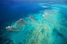 Sample 2 – Reef