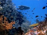 Sample 1 – Ocean