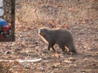 Sample 1 – Mongoose