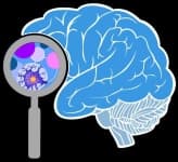 Sample 1 – Brain