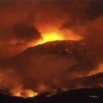 Sample 1 – Forest fire