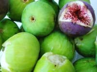 Sample 1 – Fig