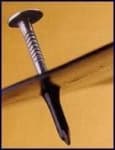 Sample 5 – Nail