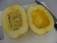 Sample 1 – Spaghetti squash