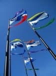 Sample 4 – Flagpole