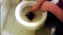 Sample 4 – Toilet