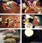 Sample 4 – Dungeness crab