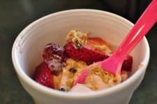 Sample 1 – Frozen yogurt