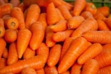 Sample 2 – Carrot